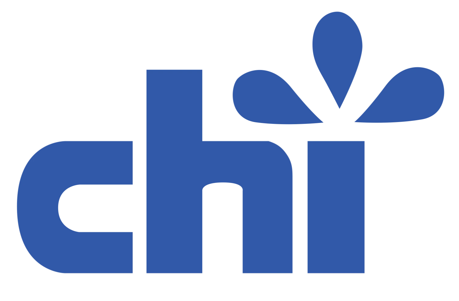 Chi Foods